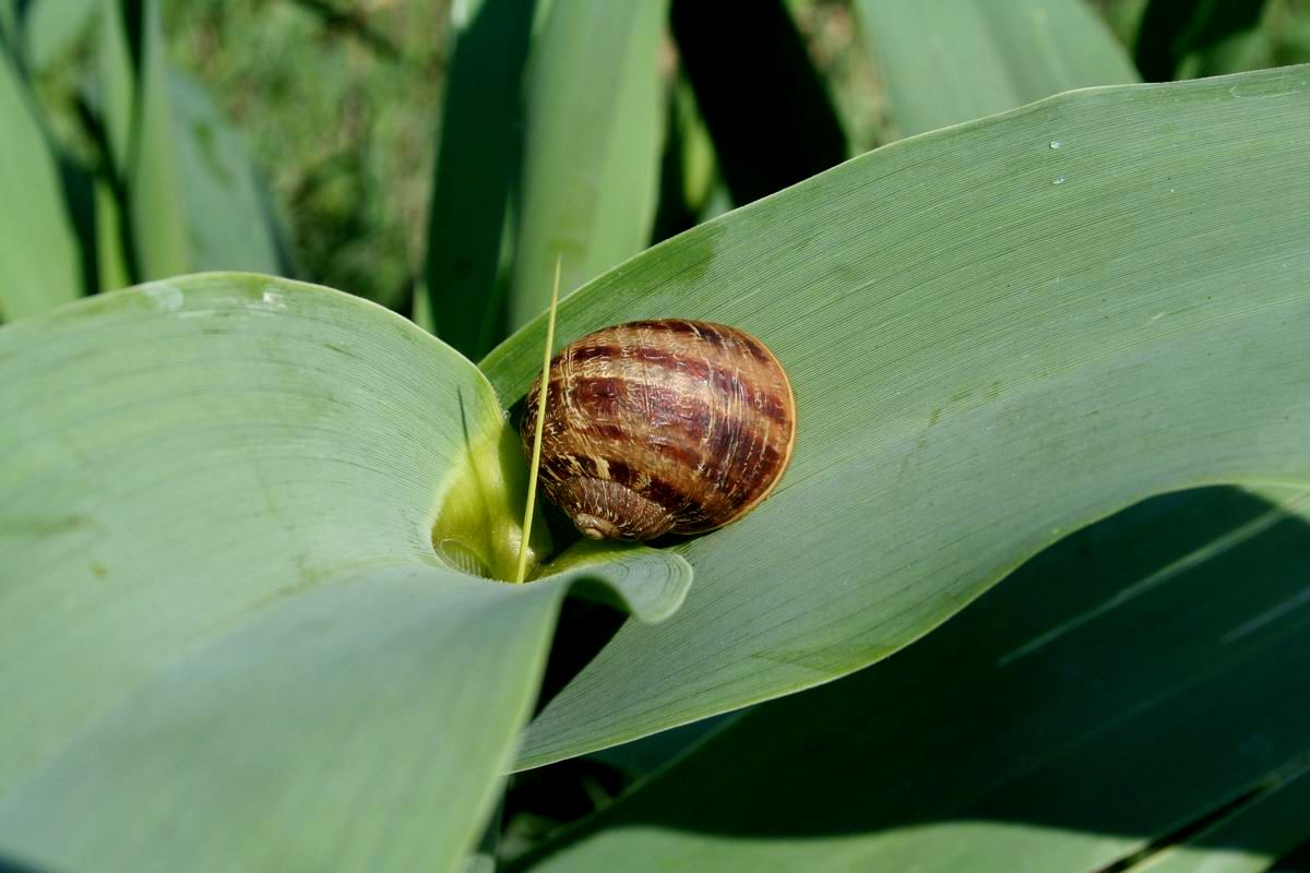 ERASMUS+ Training course for youth workers will take place in Croatia in spring 2022. pilt